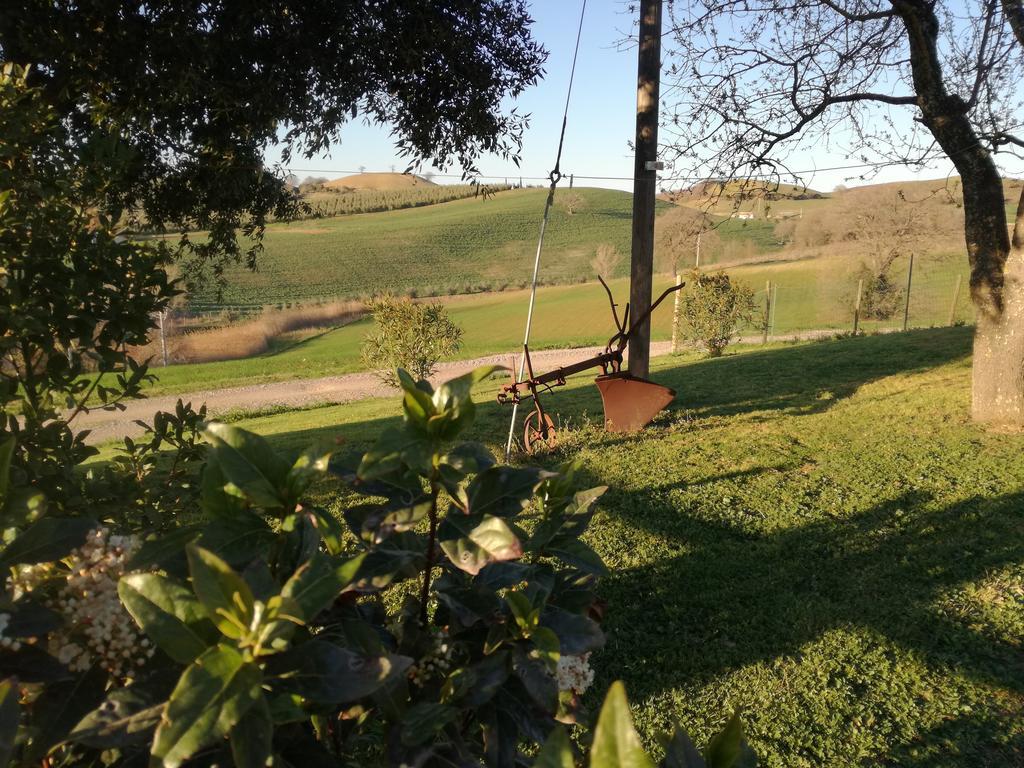 Agriturismo Podere Selvette Campagnatico Exterior photo