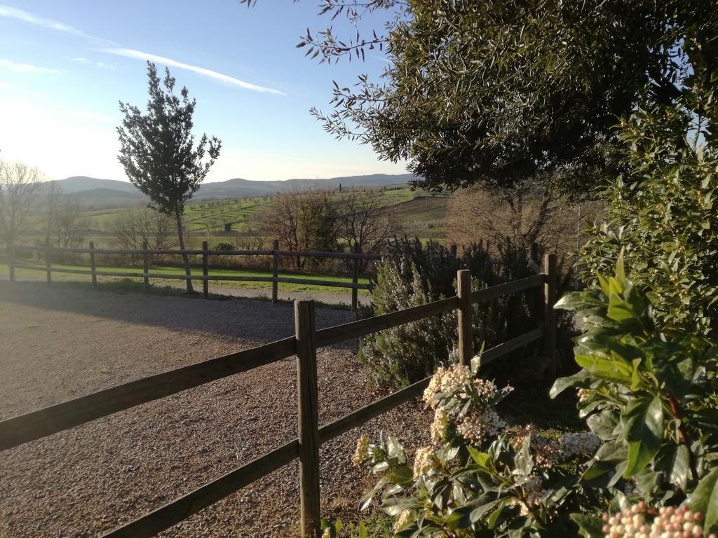 Agriturismo Podere Selvette Campagnatico Exterior photo